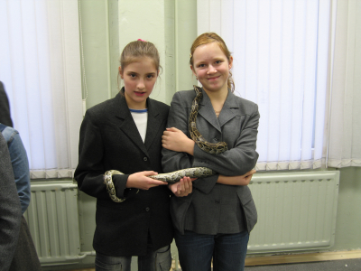 vystavka_reptilii_2811_200629_166_jpg.JPG