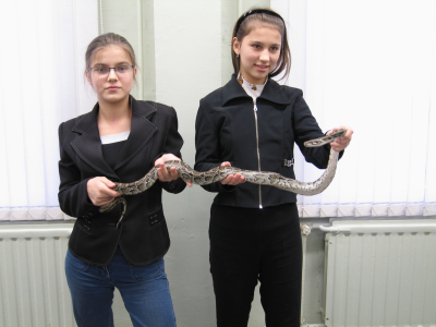 vystavka_reptilii_2811_200629_88_jpg.JPG